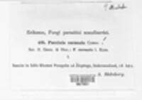 Image Associated With the Occurence